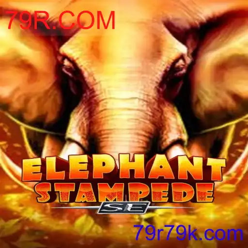 ElephantStampedeSE